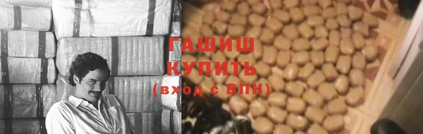 PSILOCYBIN Алзамай