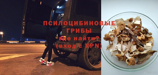 PSILOCYBIN Алзамай